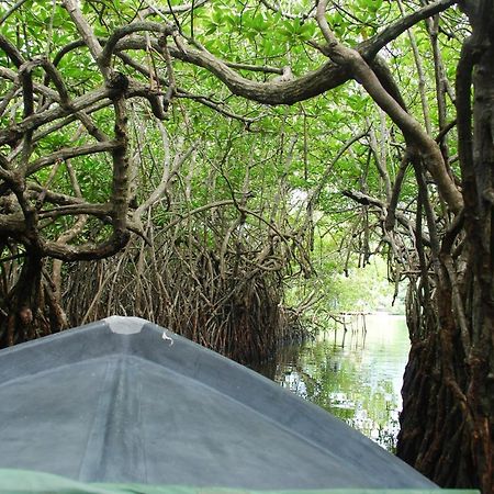 Lagoon Garden Hotel Beruwala Bagian luar foto