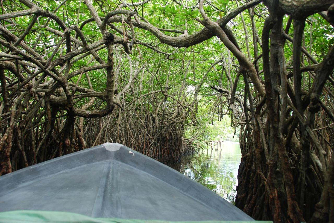 Lagoon Garden Hotel Beruwala Bagian luar foto