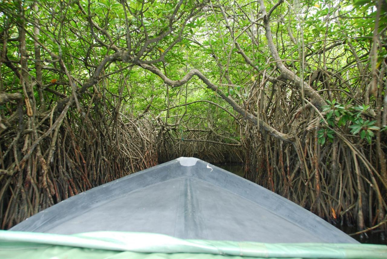 Lagoon Garden Hotel Beruwala Bagian luar foto